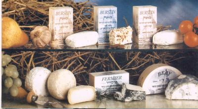 Grupa sireva 